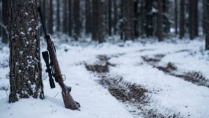 Московская фирма продает отстрел спящего медведя в Хабаровском крае