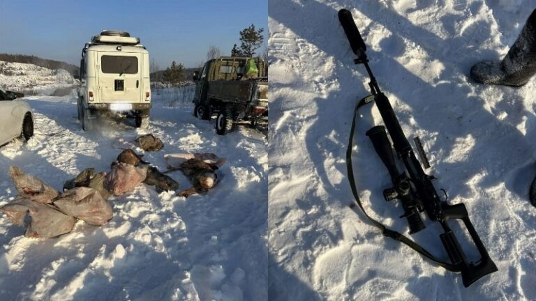 Семь косуль вместо двух: в Приамурье задержали семью браконьеров