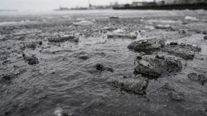 Угольная пыль на льду Приморья угрожает морским экосистемам