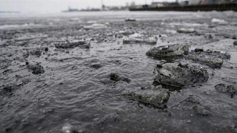 Угольная пыль на льду Приморья угрожает морским экосистемам