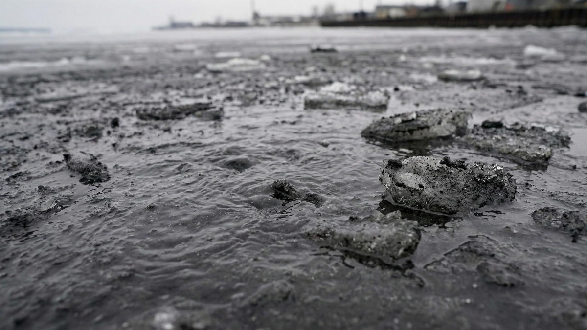 Угольная пыль на льду Приморья угрожает морским экосистемам Угольная пыль на льду Приморья угрожает морским экосистемам