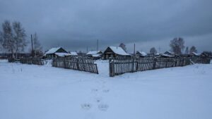 Специалисты уже неделю выслеживают агрессивного тигра в Приморском крае