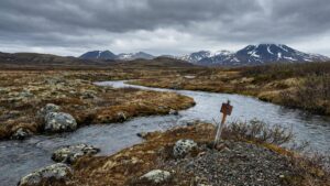 На севере Камчатки возобновят добычу россыпного золота