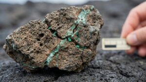 Перспективы добычи меди на Камчатке несут риски для прибрежных экосистем