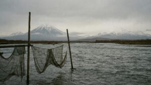 На Камчатке готовят ограничения промысла из-за низких прогнозов по лососю