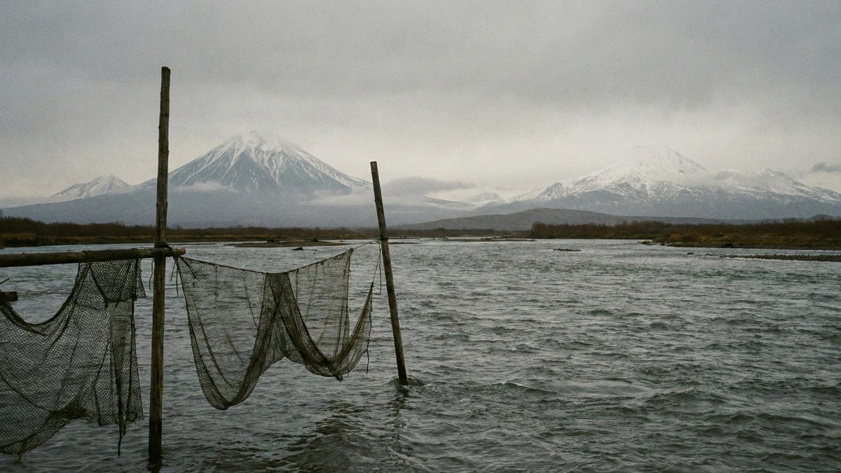 На Камчатке готовят ограничения промысла из-за низких прогнозов по лососю