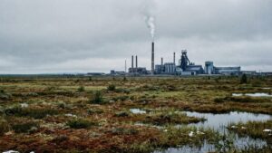 Природа важнее ресурсов: юристы предлагают реформу экоправа