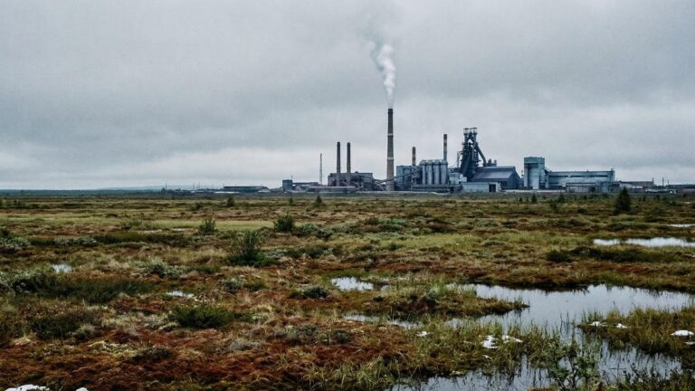 Природа важнее ресурсов: юристы предлагают реформу экоправа