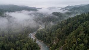 Заповедный статус объекта ЮНЕСКО перевесил планы по добыче золота в Приморье