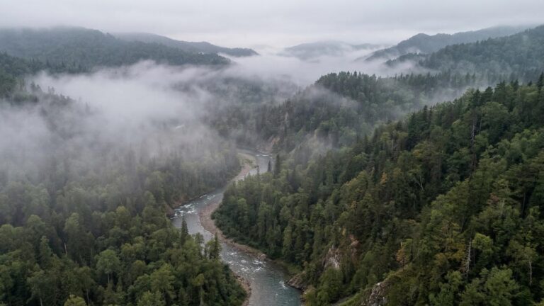 Заповедный статус объекта ЮНЕСКО перевесил планы по добыче золота в Приморье