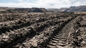 Забайкальский золотодобытчик получил иск на 900 млн рублей за уничтожение почвы