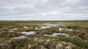 Якутия готовит новые заявки в список природного наследия ЮНЕСКО