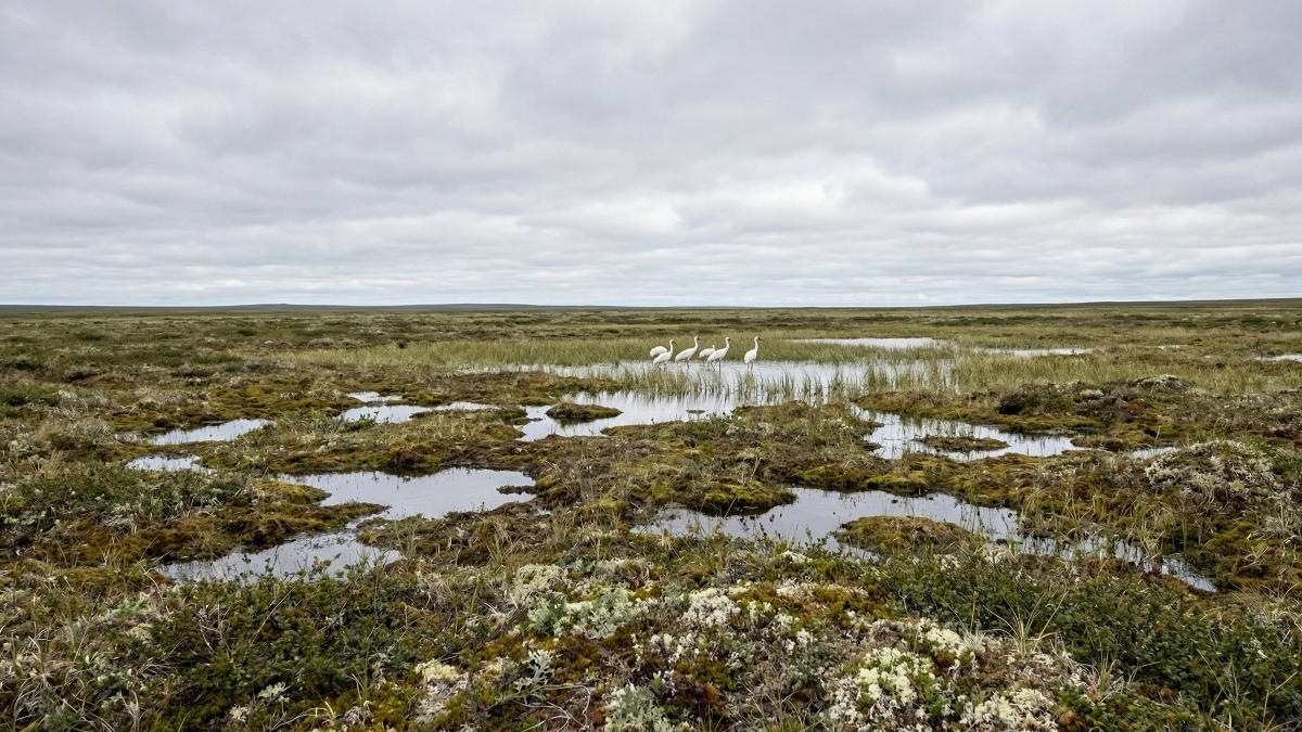 Якутия готовит новые заявки в список природного наследия ЮНЕСКО