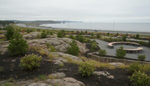 Озеленение Владивостока: ставка на эндемики и борьба с инвазивными видами