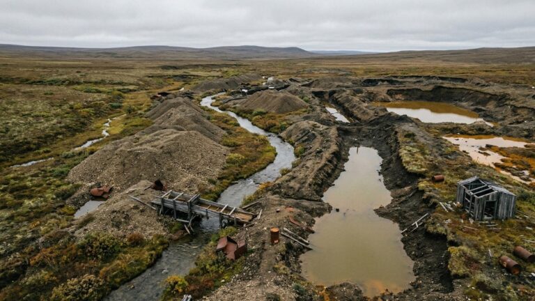 После золотой лихорадки: на Чукотке требуют рекультивировать тундру