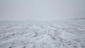 Гибель дзеренов в Забайкалье: причиной массового падежа стали суровые холода