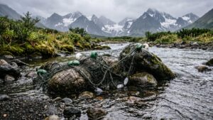 Бизнес Камчатки берет под охрану реки западного побережья
